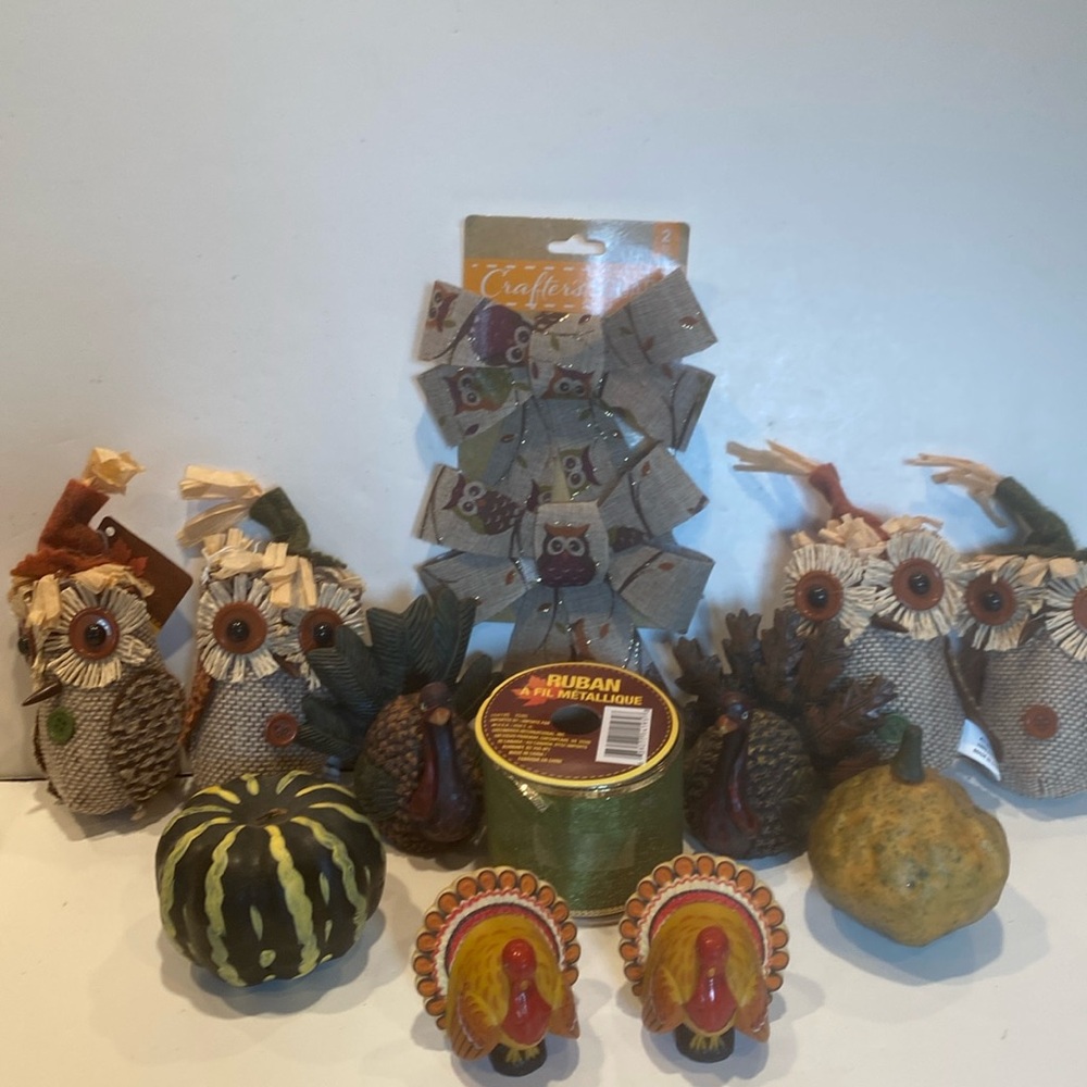 NWT & NWOT Bundle of Thanksgiving & Autumn Decorations